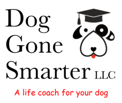 Dog Gone Smarter