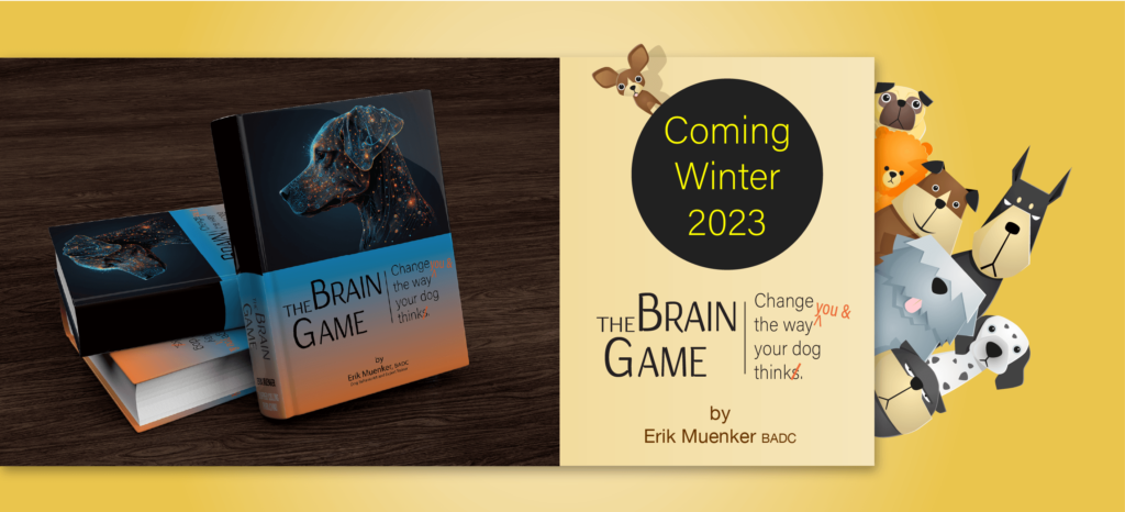 Upcoming book The Brain Game by Erik Muenker