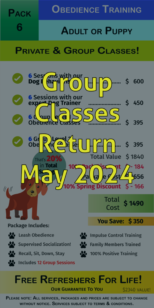 Group Class  Package 6 Details