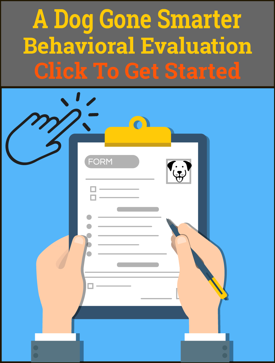 Click for Behavioral Evaluation Form
